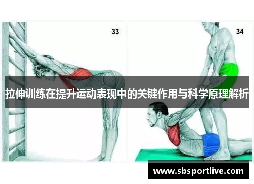 拉伸训练在提升运动表现中的关键作用与科学原理解析