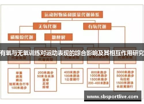有氧与无氧训练对运动表现的综合影响及其相互作用研究