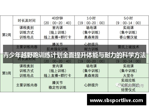 青少年越野跑训练计划全面提升体能与耐力的科学方法