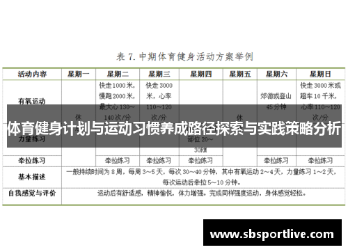 体育健身计划与运动习惯养成路径探索与实践策略分析