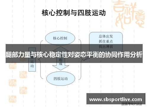 腿部力量与核心稳定性对姿态平衡的协同作用分析